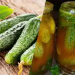 Come chiudere i cetrioli nel ketchup al peperoncino per l'inverno: