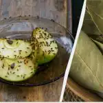 I moscerini scompariranno per sempre: una soluzione semplice agli insetti