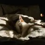 Il nostro lavoro è stato quello di far conoscere il nostro lavoro a tutti i nostri clienti. il-nostro-lavoro-e-stato-quello-di-far-conoscere-il.jpg