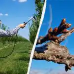 Non dovete preoccuparvi dei parassiti fino alla fine della stagione: con cosa spruzzare i vostri alberi adesso Non dovete preoccuparvi dei parassiti fino alla fine della stagione: