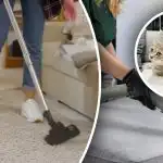 Non rimarrà nemmeno una traccia: 7 passaggi per eliminare l'odore