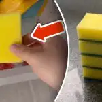 Perché mettere una spugna nel congelatore: un semplice trucco eliminerà