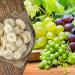 Q è il migliore per i livelli di zucchero nel