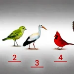 Scoprire se si è una persona ingenua: un test psicologico con gli uccelli scoprire-se-si-e-una-persona-ingenua-un-test-psicologico.webp.webp