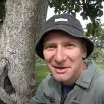 Un albero cavo non è un giudizio: un modo collaudato