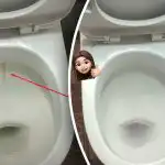 Un prodotto sbianca la tazza del water fino a renderla brillante: come affrontare placca e sporco in 15 minuti Un prodotto sbianca la tazza del water fino a renderla