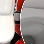 Un semplice trucco per il bagno e l'odore dell'hotel prima