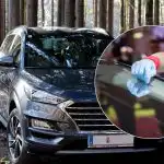 Una lucentezza senza striature per un centesimo: come pulire il