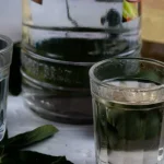Versateci sopra la vodka: un trucco segreto di giardinaggio per far crescere piantine forti versateci-sopra-la-vodka-un-trucco-segreto-di-giardinaggio-per.webp.webp
