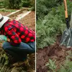 Come capire che il terreno del vostro giardino sta "morendo":