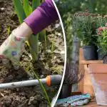 Giardinaggio a marzo: 4 cose fondamentali da fare prima della